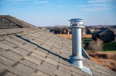 Baca Süpürme, Temizleme ve Muayene